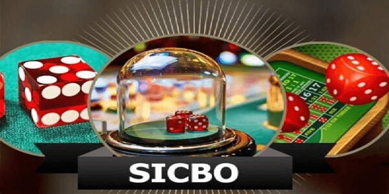 Khám phá sức hấp dẫn của sibo trong casino sv88